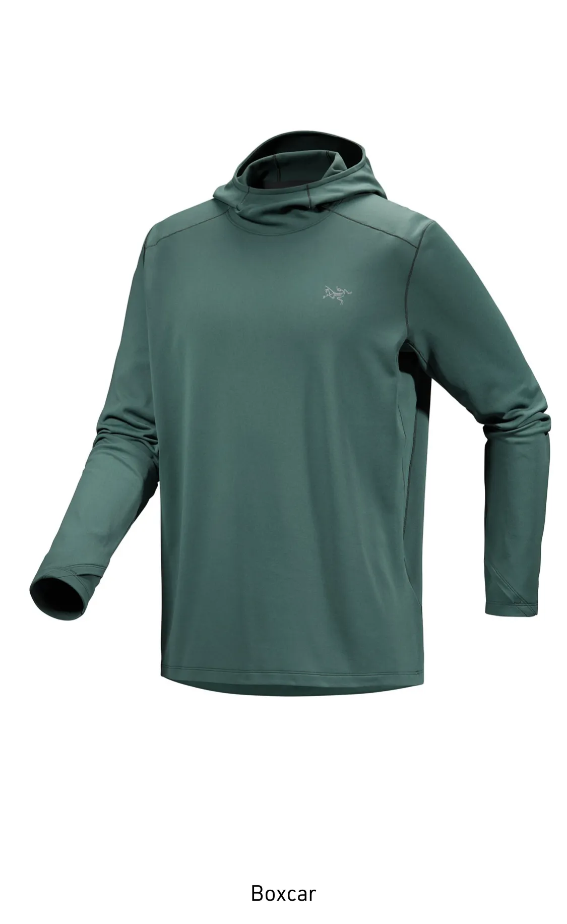 ARC'TERYX  |Long Sleeves Plain Khaki Logo Outdoor Hoodies